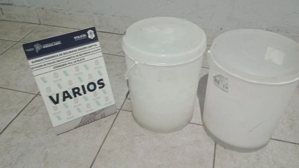 Los 20 kilos de helado que estaban en poder de las ladronas.
