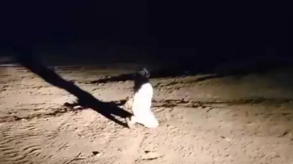 El fantasma fue captado en las inmediaciones del cementerio de Tucumán (Twitter).