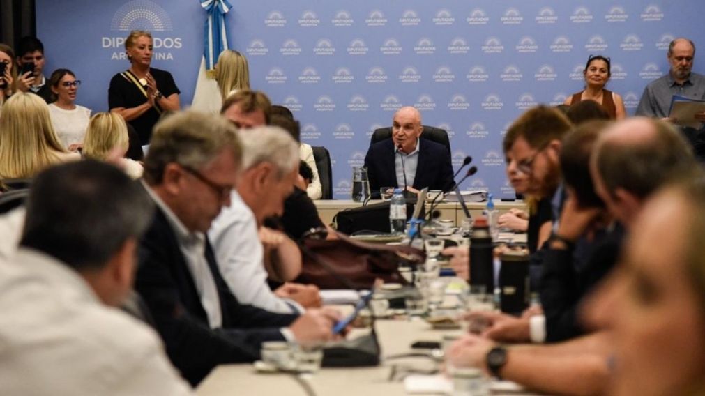 En un plenario de comisiones de Diputados se comenzó a debatir la Ley Ómnibus (X/@DiputadosAr).