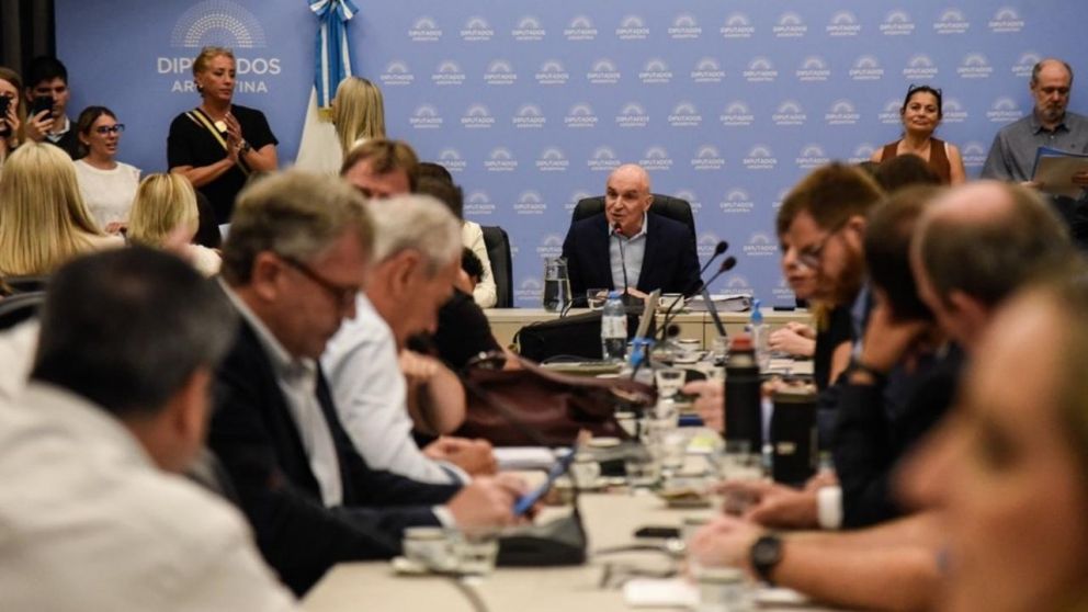 En un plenario de comisiones de Diputados se comenzó a debatir la Ley Ómnibus (X/@DiputadosAr).