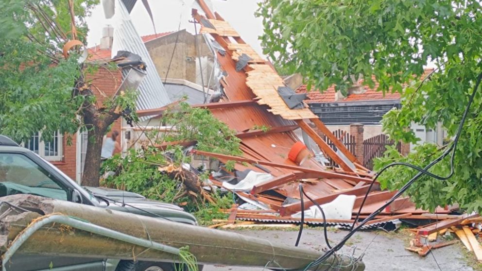 Muri� un joven de 17 a�os tras la ca�da de un �rbol sobre su cabeza