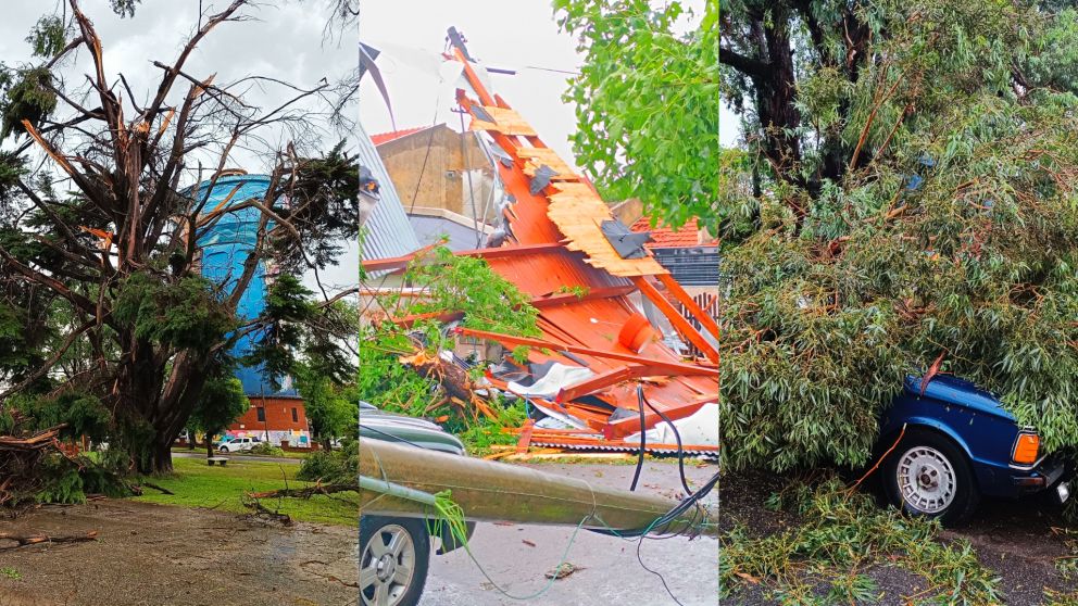 Una fuerte tormenta voló el techo de la terminal y derribó árboles en Miramar.