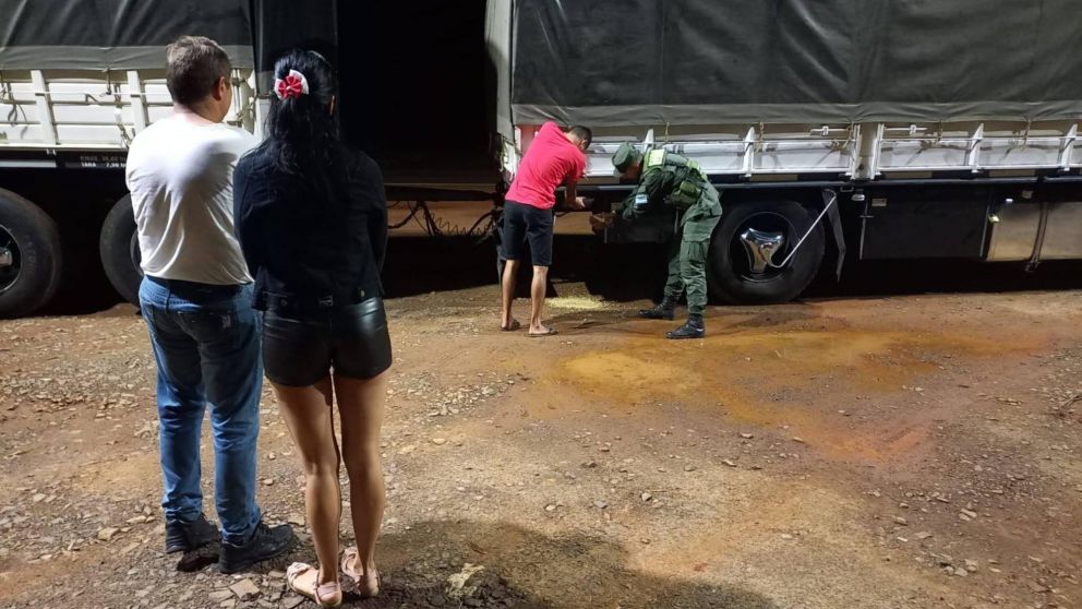 Operativo "Sojaijú": Gendarmería secuestró 118 toneladas de granos de contrabando en Misiones.