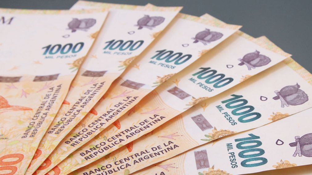 Bono de $77.000 de Anses: ¿Quiénes lo cobran por única vez?.