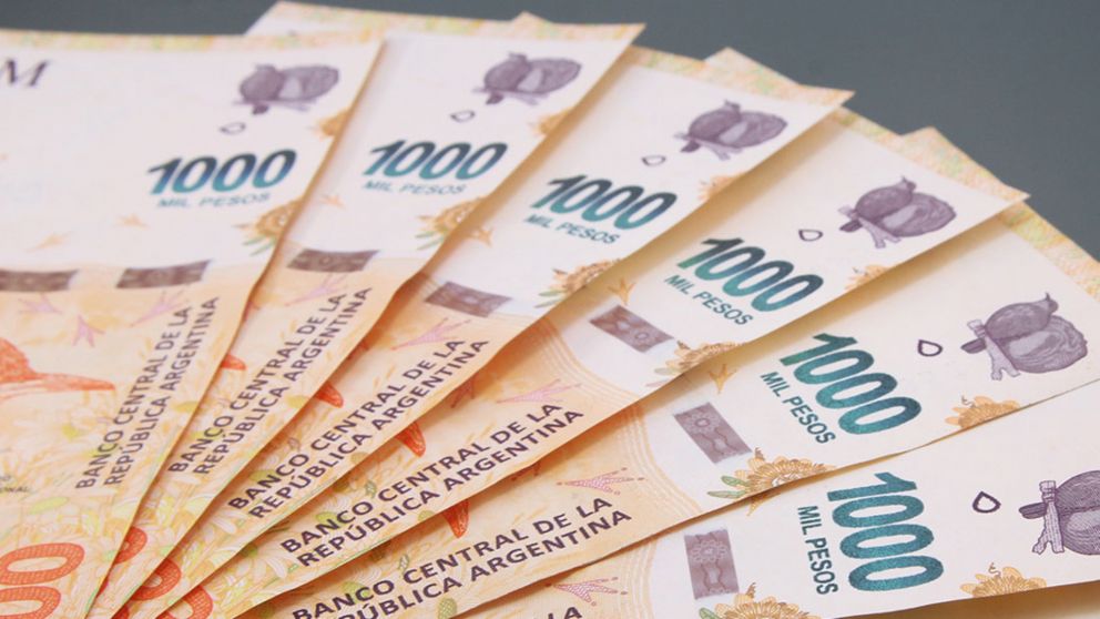 Bono de $77.000 de Anses: ¿Quiénes lo cobran por única vez?.