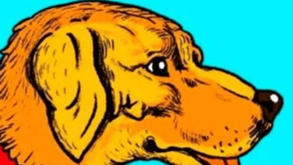 Solo las personas con ojo de águila pueden ver la imagen oculta más allá del perro