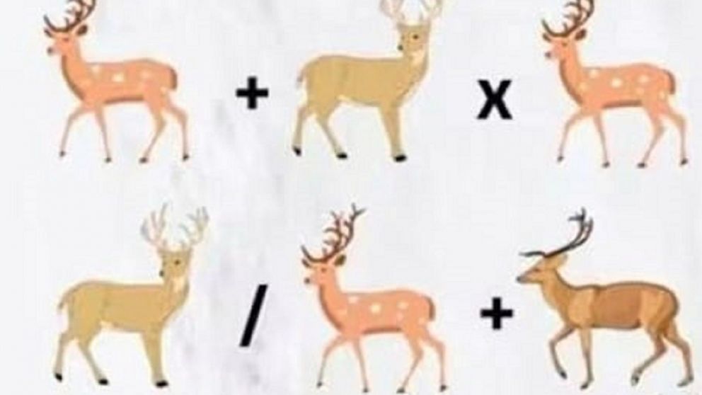 Este reto visual se posiciona como uno de los más desafiantes: ¿Podés resolverlo en menos de 60 segundos?