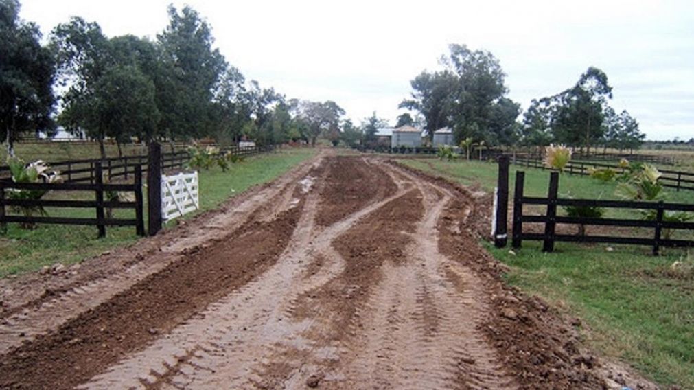 El hecho tuvo lugar en la localidad bonaerense de Chascomús.