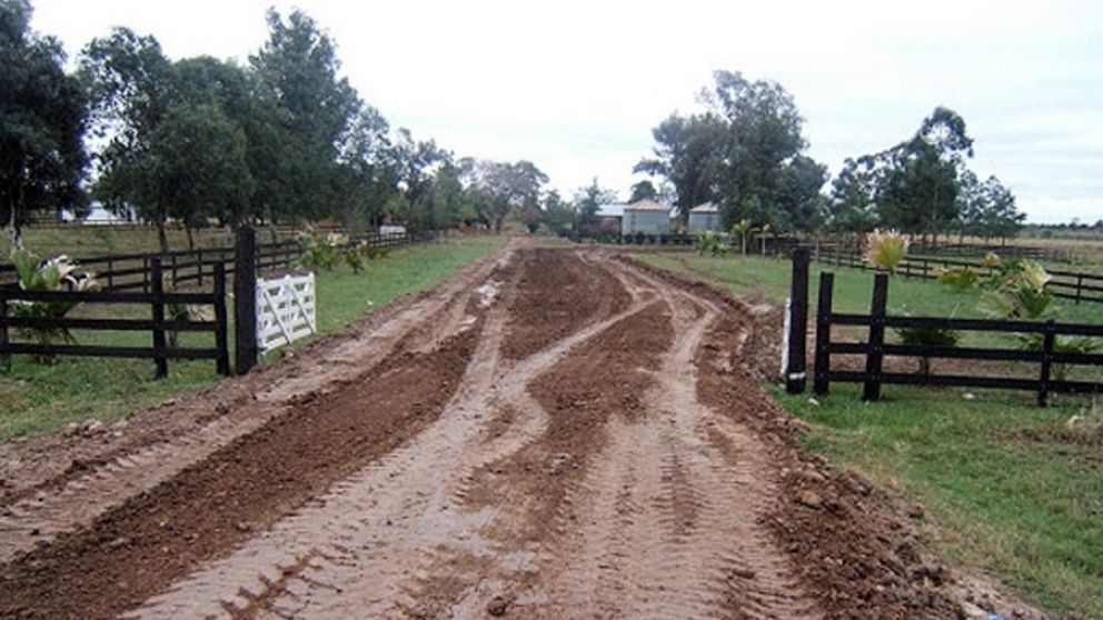 El hecho tuvo lugar en la localidad bonaerense de Chascomús.