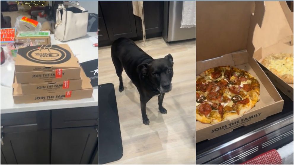 Encarg� una pizza, le mandaron otro pedido y lo que le obsequiaron la dej� sin palabras (TikTok/ @brooke_wadeee)