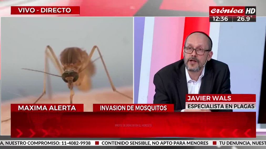 Crónica HD