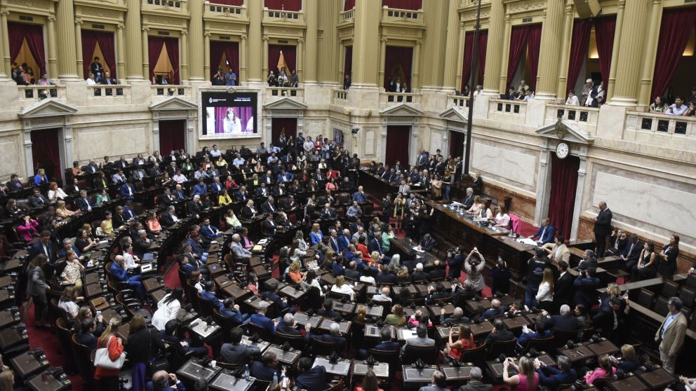 La iniciativa llegará a la Cámara de Diputados después de su tratamiento en comisiones (Hernán Nersesian / Crónica).