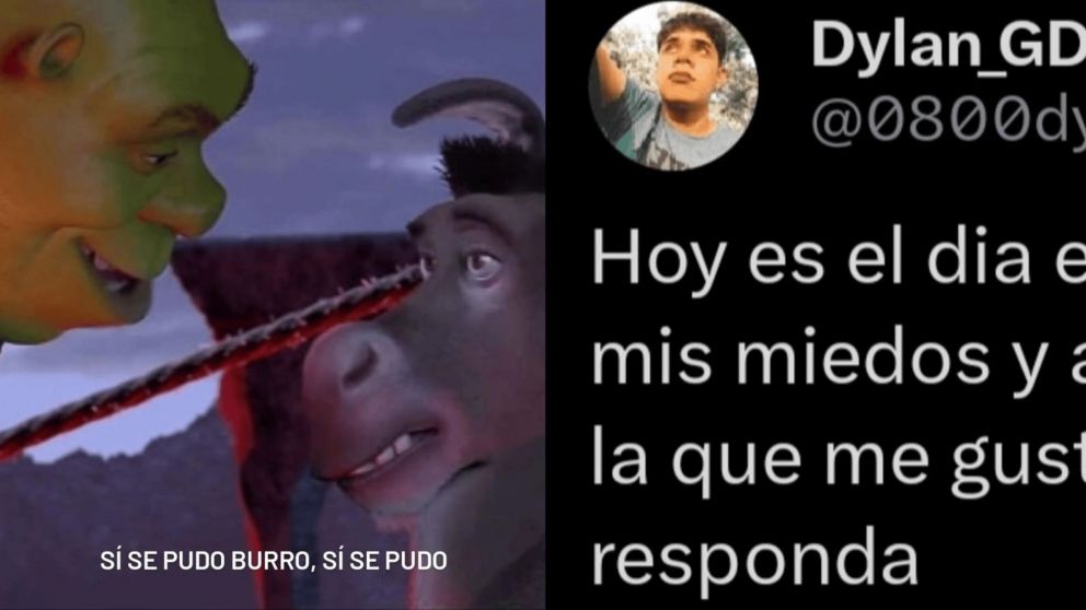 Juntó coraje, invitó a salir a Morena Beltrán y ella sorprendió con su respuesta (Twitter/ @0800dylannn)