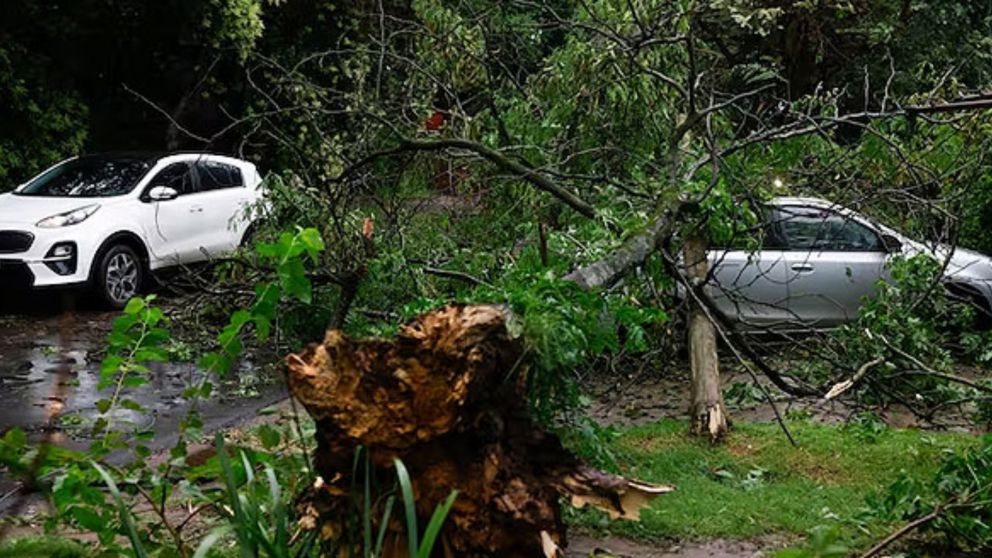 El fuerte temporal causó destrozos en inmuebles y automotores.