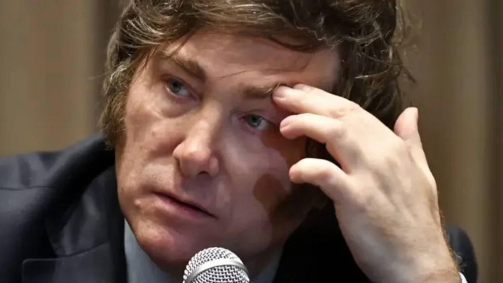 Unidad Popular, el Observatorio por el Derecho a la Ciudad, la CTA y ATE presentaron denuncia penal contra Javier Milei por "abuso de autoridad".