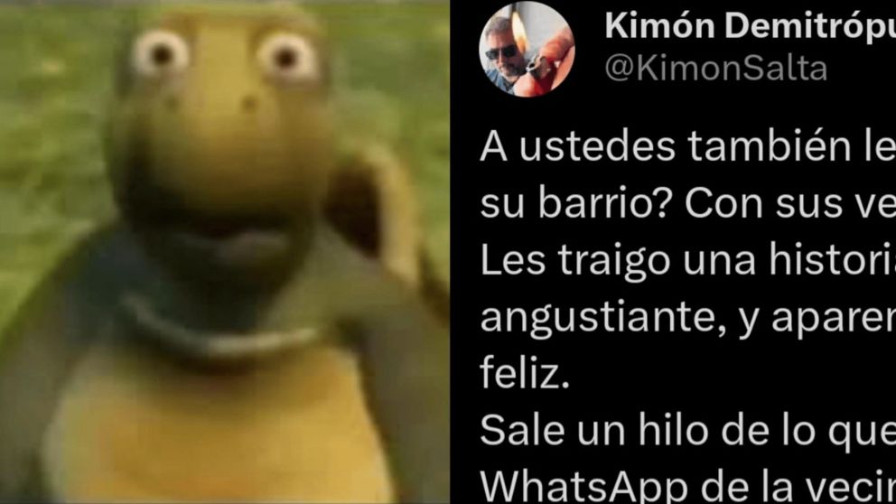 Se le escapó la tortuga y el operativo vecinal para encontrarla estalló las redes (Twitter/ @KimonSalta)