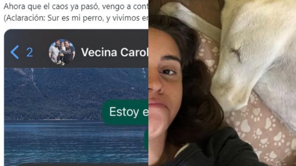 La joven dio detalles en X (antes Twitter) de lo que pasó con su perro y desconcertó a todos.