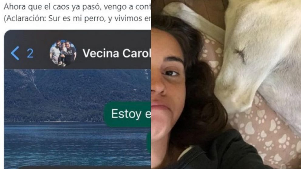 La joven dio detalles en X (antes Twitter) de lo que pasó con su perro y desconcertó a todos.