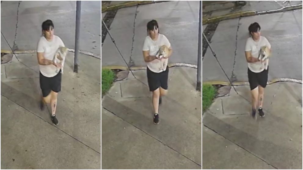 La mujer que se llevó a "Lulu" quedó filmada por una cámara de seguridad.