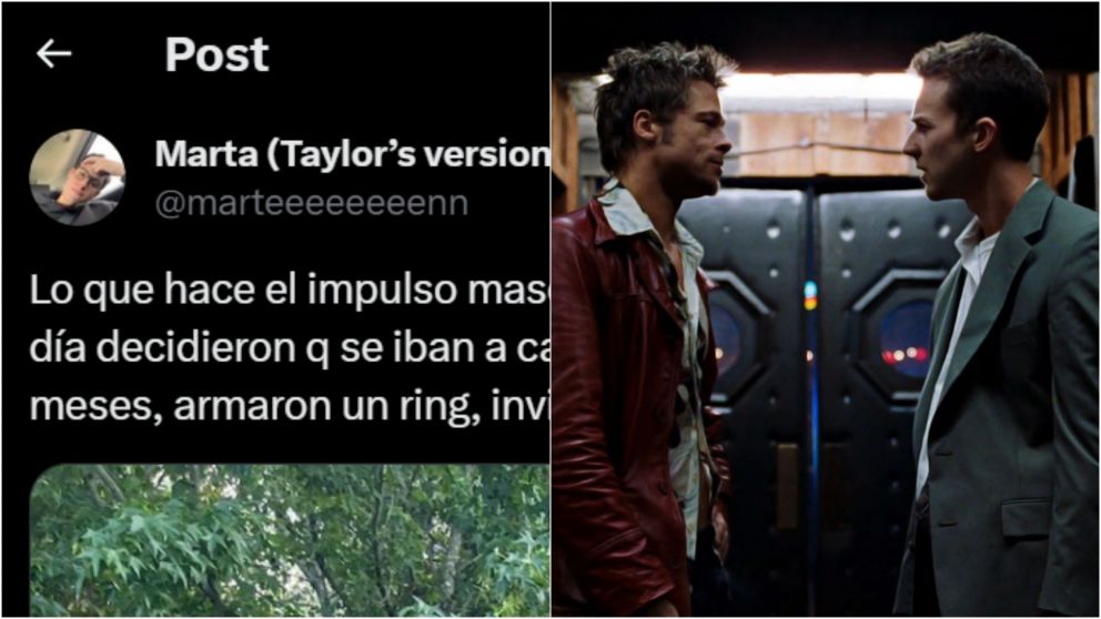 El "impulso masculino" de dos amigos que "se ten�an bronca": entrenaron 3 meses, armaron un ring y se pelearon en el patio de la casa