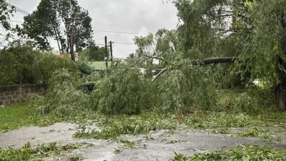 Tragedia en Uruguay: un nene de 8 y un joven de 19 años murieron por la caída de árboles en el temporal (Imagen @Estacion_bcp).