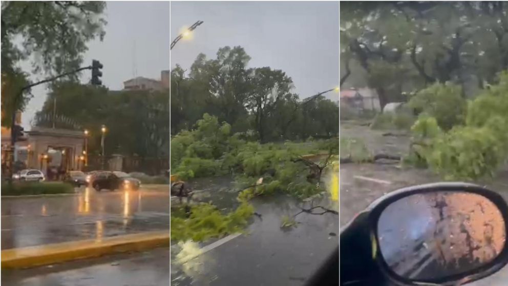 Temporal devastador: 15 heridos tras el colapso de una estructura durante una fiesta en el Hipódromo de Palermo.