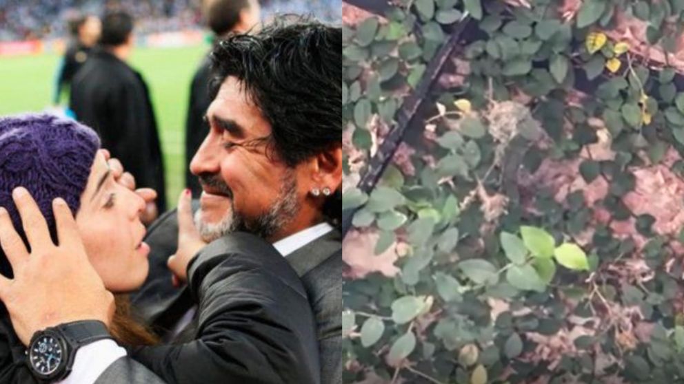El impactante hallazgo de Dalma Maradona relacionado con su padre.