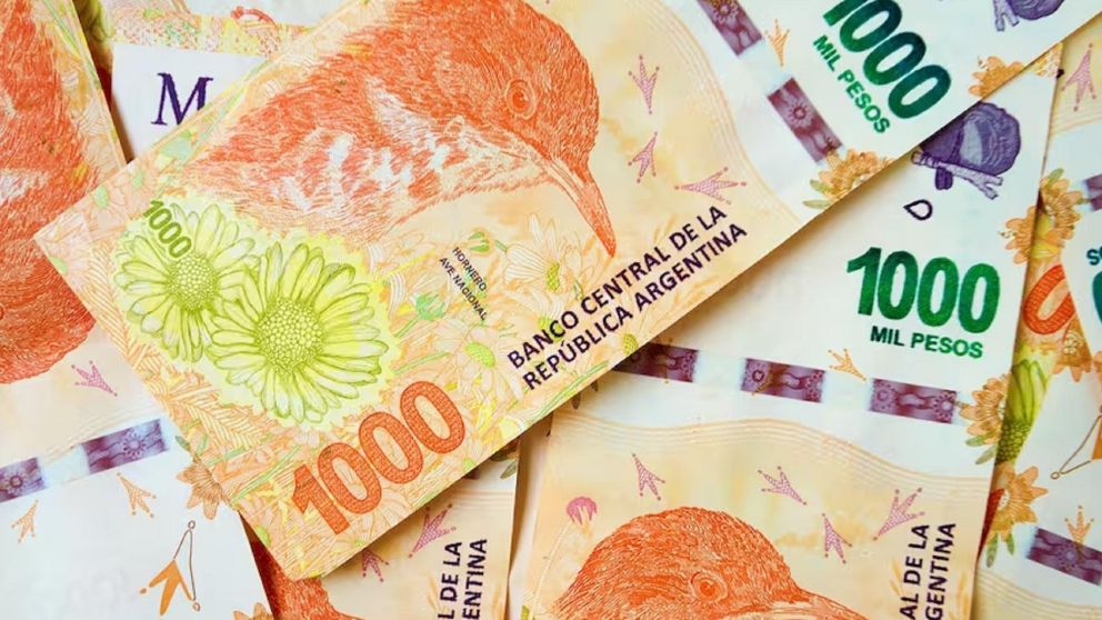 ¿Qué conviene hacer con los depósitos en Plazo fijo tras la devaluación del peso?