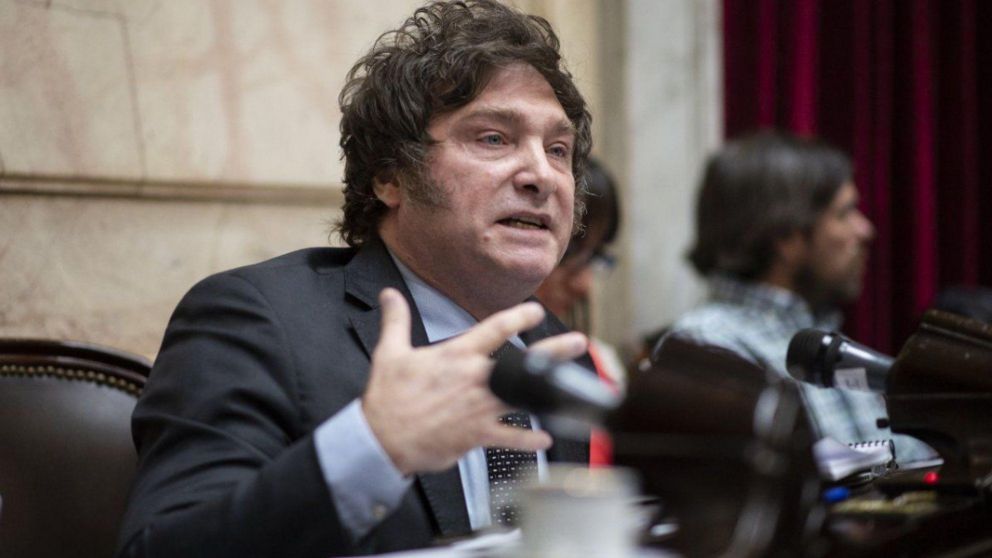 Javier Milei presentará un paquete de leyes en el Congreso (Archivo).