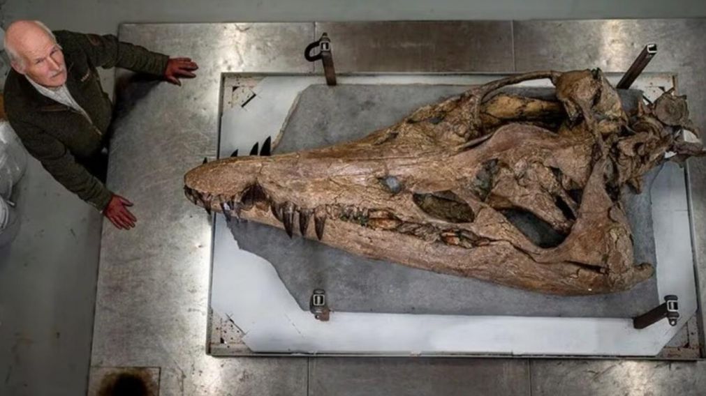 El prehistórico hallazgo tuvo lugar en las costas británicas (BBC).