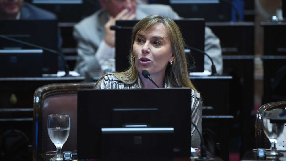 La legisladora opositora cruzó al oficialismo en una sesión caliente.