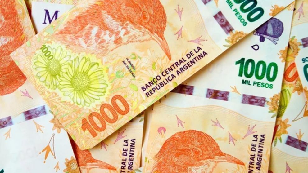 Bono de ANSES para muchos argentinos: cuándo y quiénes lo cobran.