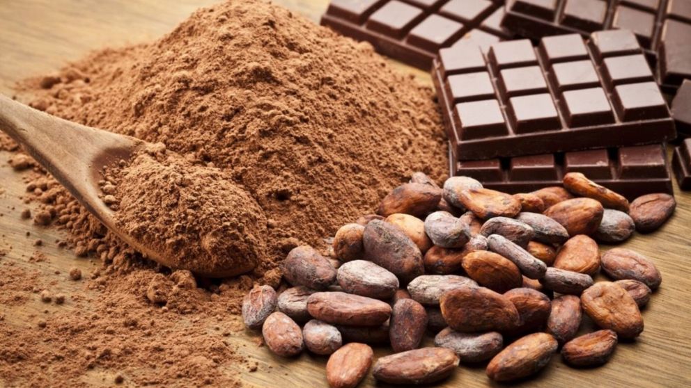 Día del cacao: Top 3 tortas de chocolate