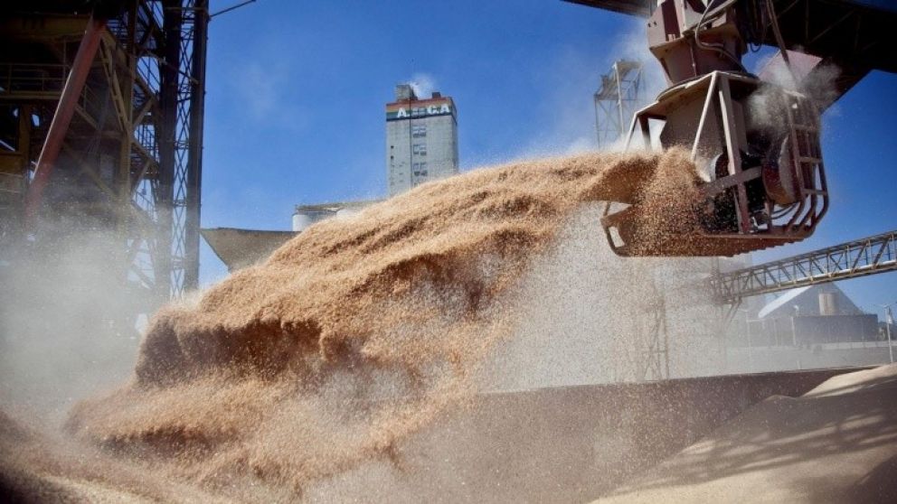 "Hasta nuevo aviso", el Gobierno cerr� el registro para anotar exportaciones de granos
