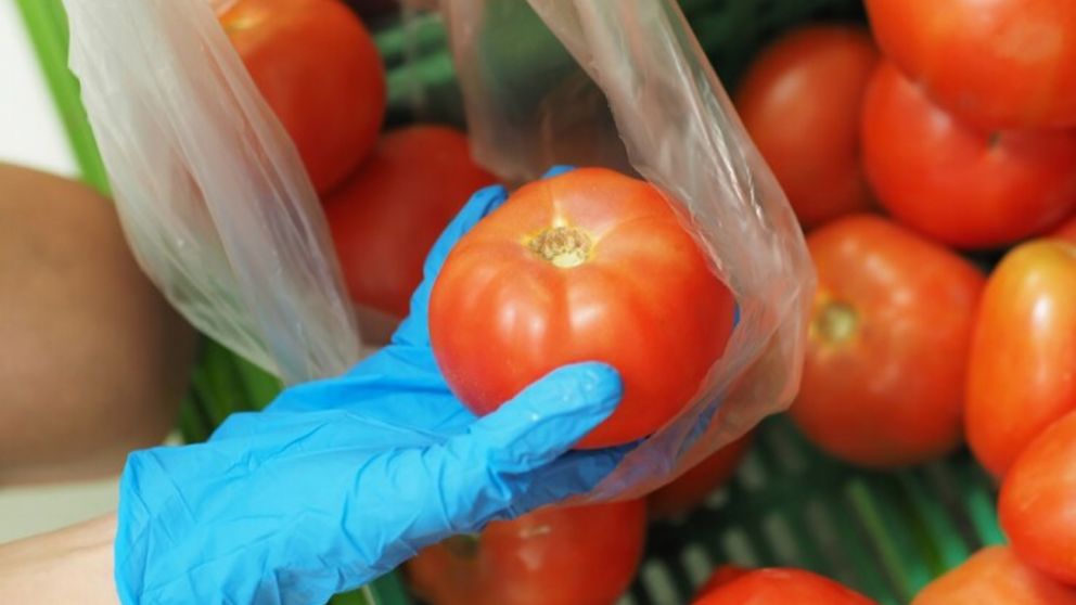 Plantaciones de tomate en Salta, Jujuy, Corrientes, Mar del Plata, La Plata ya se vieron invadidas por esta plaga.