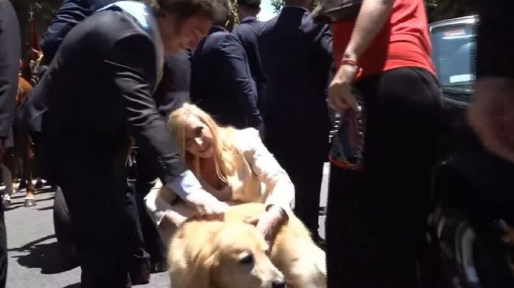 Milei frenó la caravana presidencial para acariciar a un perro.