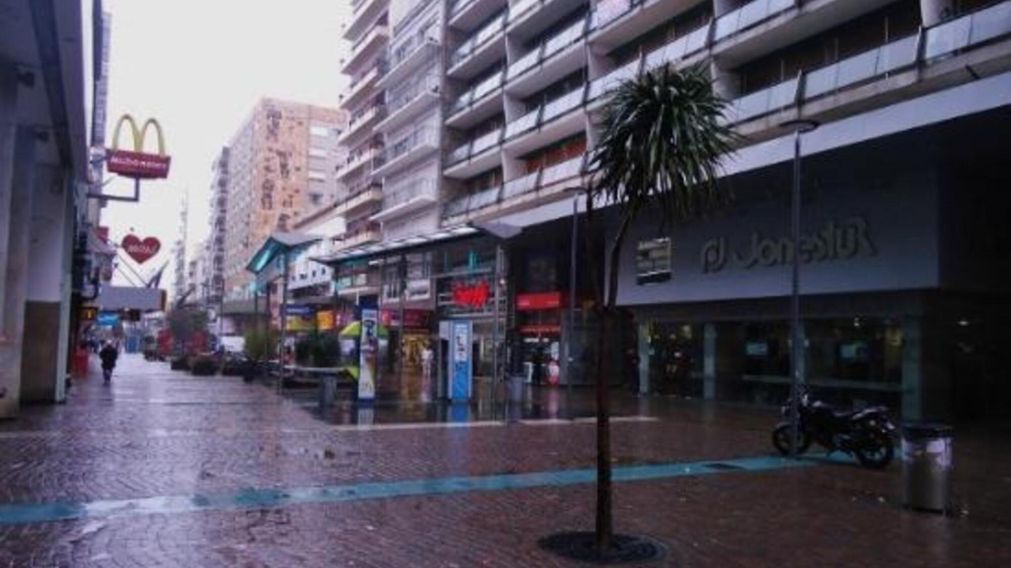 El hecho sorprendió a todos los transeúntes en Peatonal San Martín, en la ciudad de Mar del Plata.