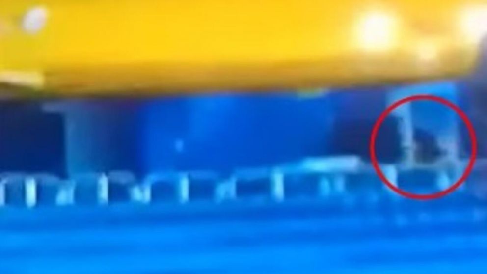 Un fantasma deambuló por la Bombonera (Captura de video).