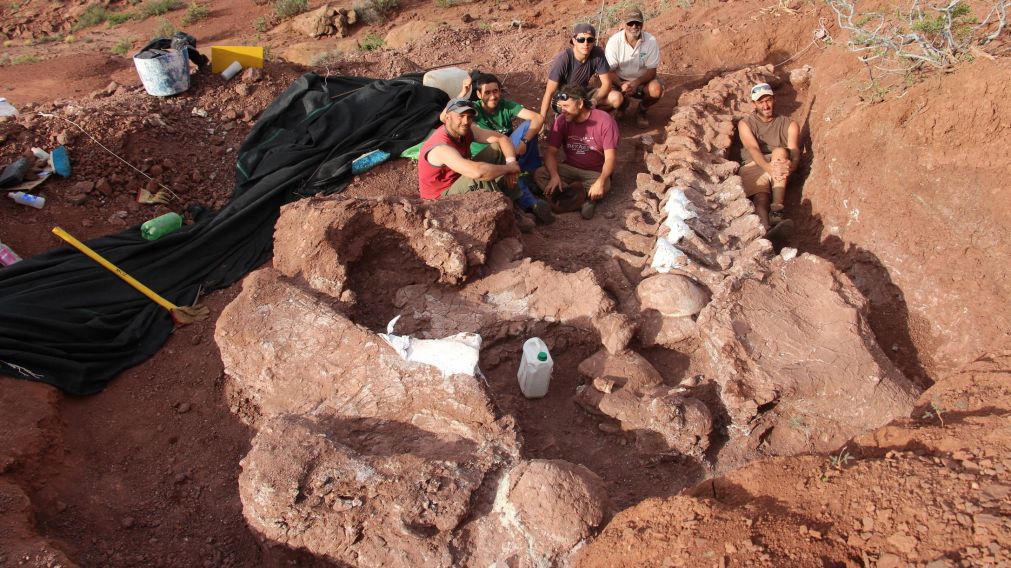 Miles de huesos de dinosaurio fueron hallados en la Patagonia argentina (Archivo).