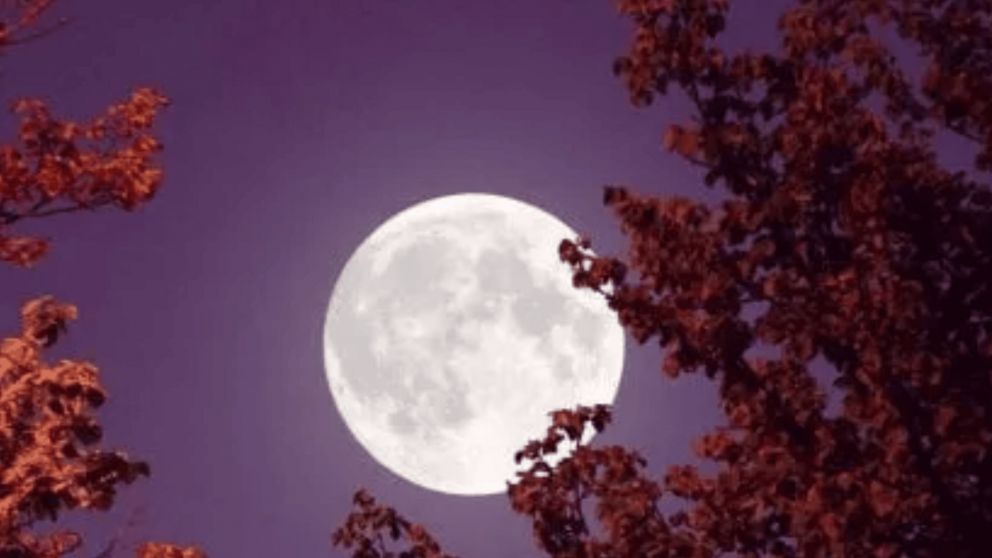 Los signos que se verán más beneficiados por la Luna del Castor (Imagen ilustrativa)
