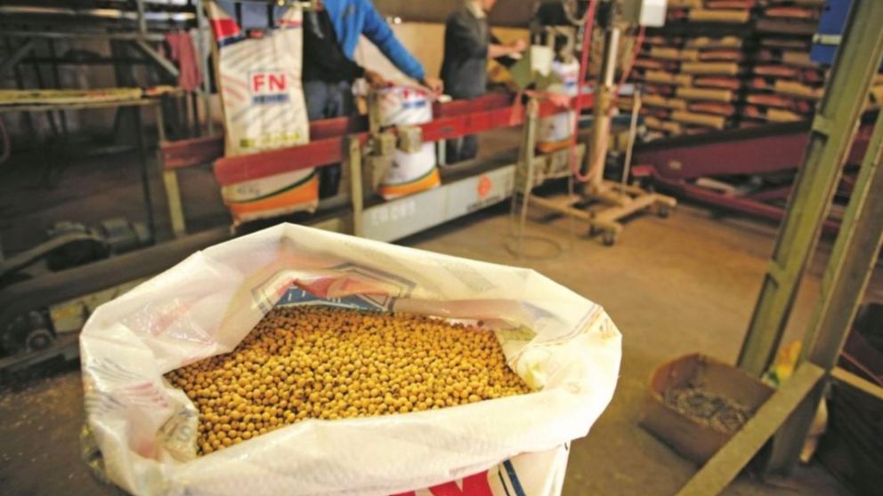 Aduana: siete firmas argentinas en la mira por sobrefacturación en la importación de soja.