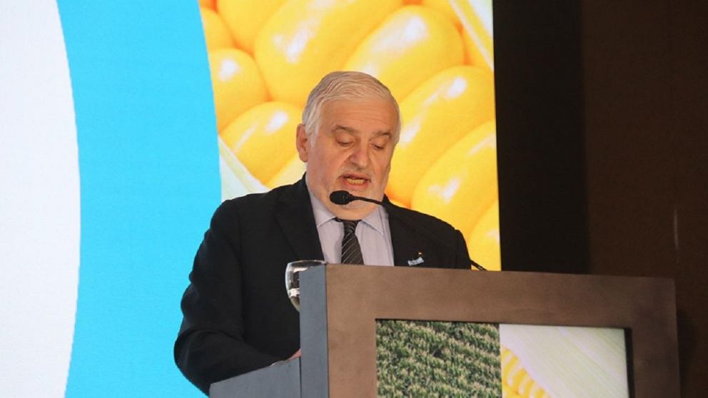 Fernando Vilella, docente de la UBA, ser� el funcionario de Javier Milei en Agricultura y Ganader�a.