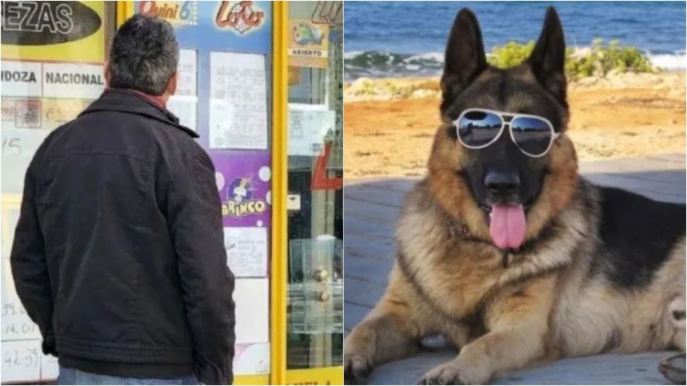 Un hombre apostó un número a la ruleta con la ayuda de su mascota.