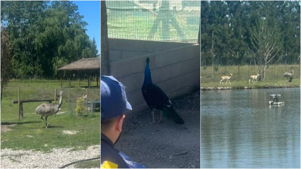 /img/2023/11/22/pfa_.jpg