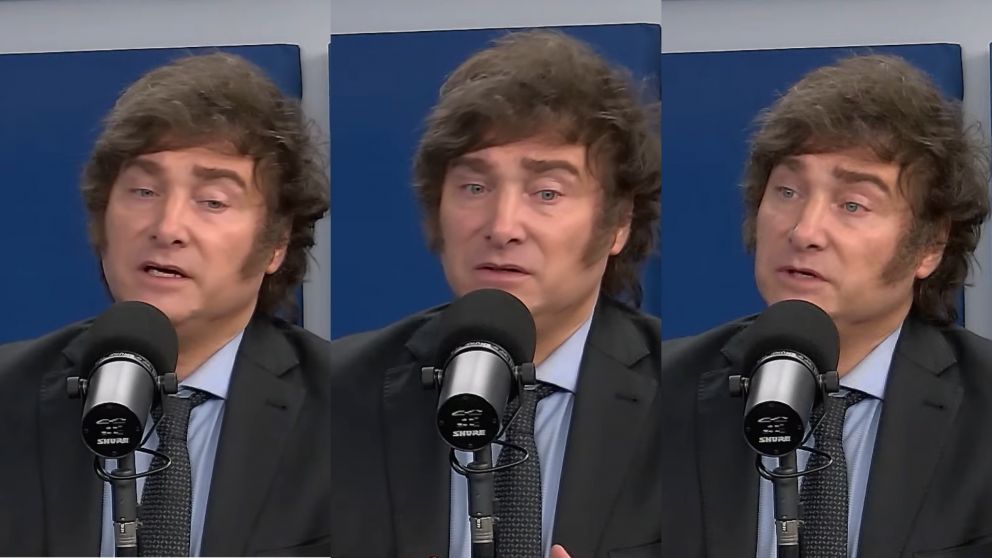 Javier Milei durante su charla con Alejandro Fantino: "Es la primera vez que gana alguien que dice que va a hacer un ajuste"