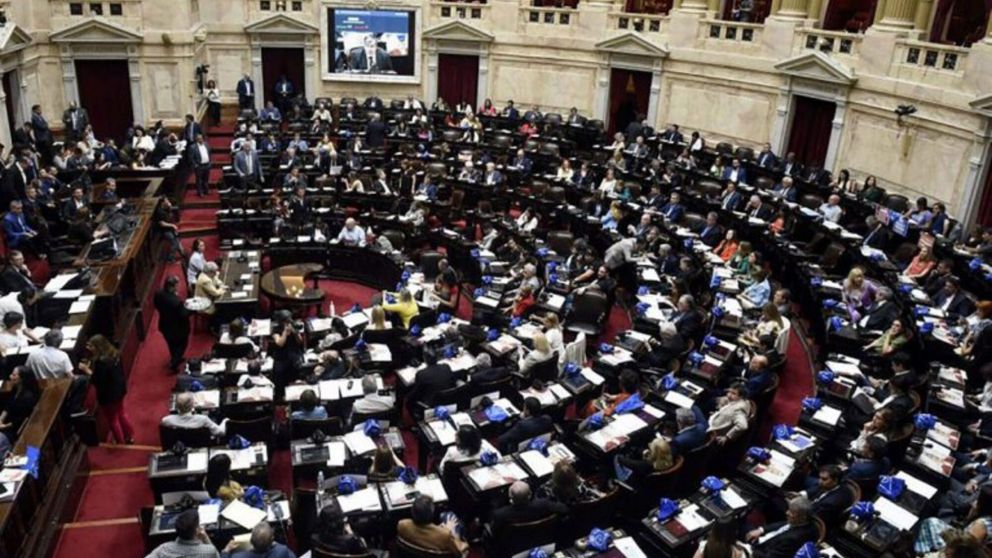 En los comicios del 22 de octubre resultaron electos 130 legisladores (Télam/Archivo).