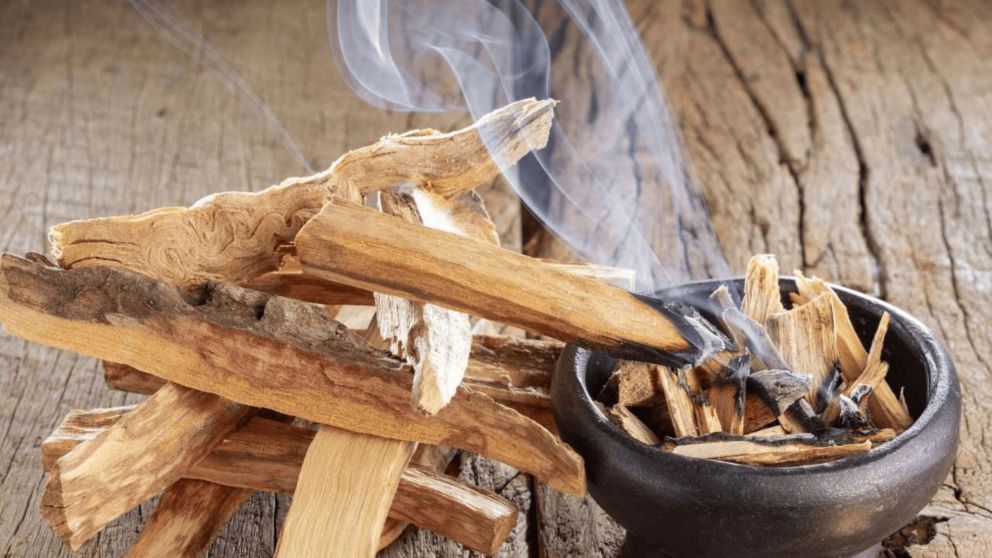 El Palo Santo es una de las mejores opciones para renovar la energía de tu hogar.