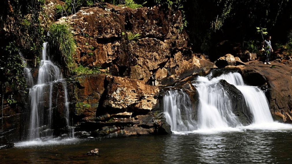 Escapada a Misiones: el paraíso escondido en el medio de la selva que es ideal para desconectar (Imagen ilustrativa)