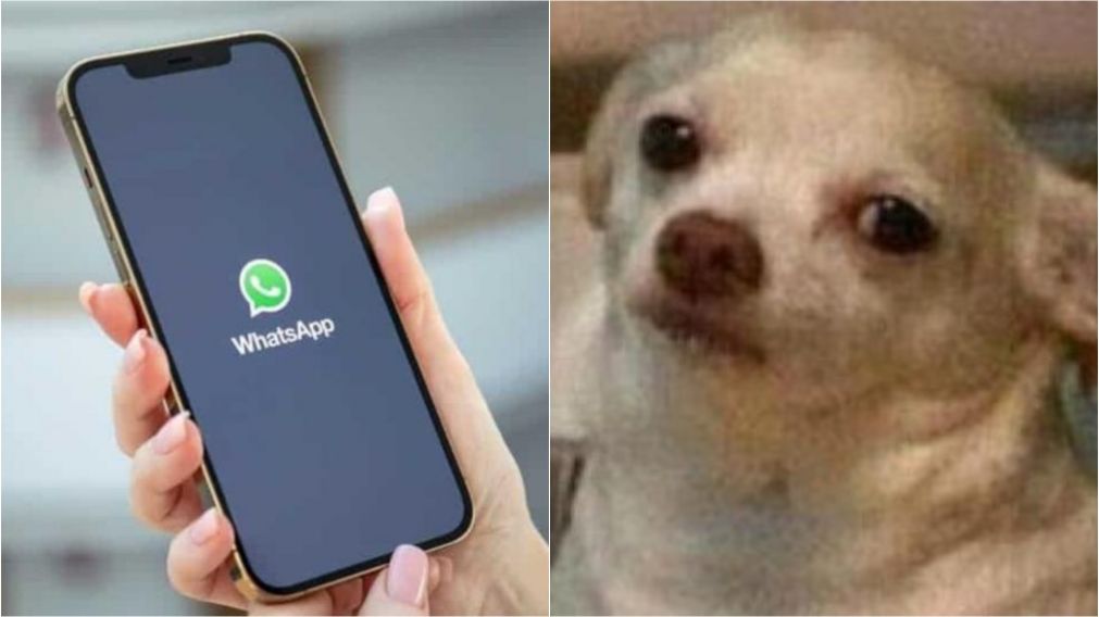 Cómo evitar los mensajes molestos en WhatsApp.