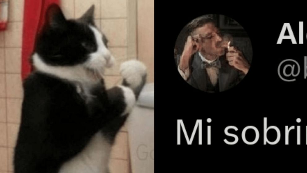 El error de ortografía que casi desata una "pelea" en Facebook (TikTok/ @bjs_alejo2)
